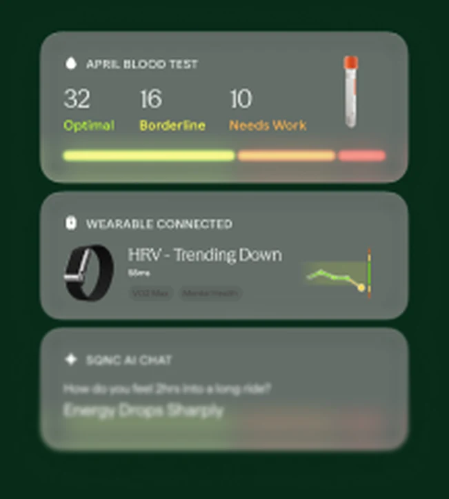 Blood panel, wearable and AI chat readouts feeding the formula